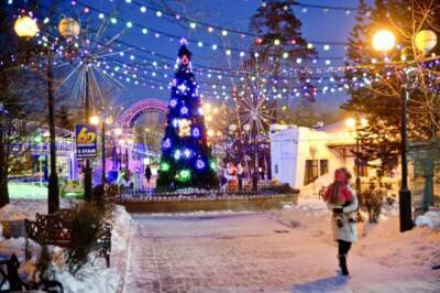 Хабаровский новогодний городок в парке «Динамо» оказался опасен для жизни