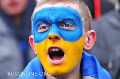 УЕФА расследует поведение украинских фанатов на матче со сборной России
