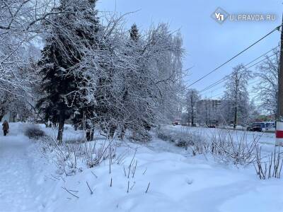 В Ульяновской области прогнозируют мокрый снег и гололедицу