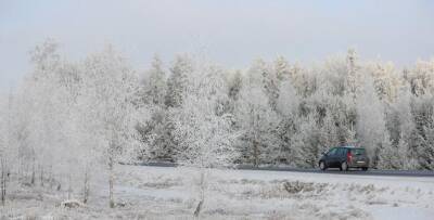 Температура воздуха в Беларуси в январе была на 2 градуса выше нормы