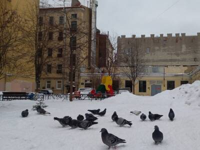 В Петербурге плюс два и мокрый снег