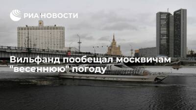 Синоптик Вильфанд: температура в Москве в течение рабочей недели будет выше нормы