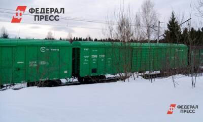 Полиция раскрыла кражу 750 килограммов угля из поезда в Барабинске