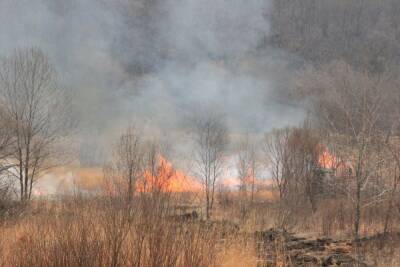 Хабаровскому краю выделят 560 млн рублей на тушение пожаров