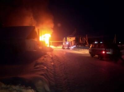 В Кунгурском округе на пожаре на птицефабрике "Комсомольская" погибло более 33 тысяч кур