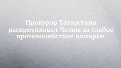 Прокурор Татарстана раскритиковал Челны за слабое противодействие пожарам