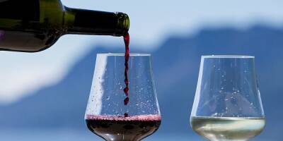 Маркировка может привести к удорожанию вина на 15%