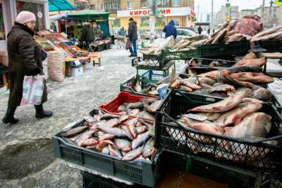 Роспотребнадзор: 25% рыбы в Свердловской области оказались бракованными