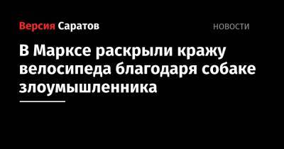 В Марксе раскрыли кражу велосипеда благодаря собаке злоумышленника