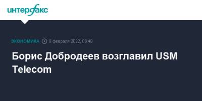Борис Добродеев возглавил USM Telecom