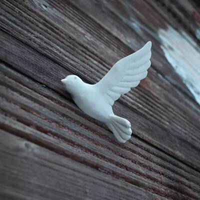 Художник «поселил» птиц на фасаде дома по улице Нижегородской