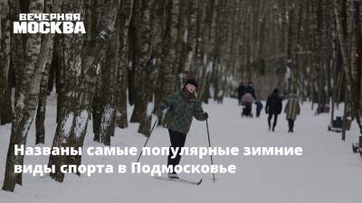 Названы самые популярные зимние виды спорта в Подмосковье - vm.ru - Московская обл.