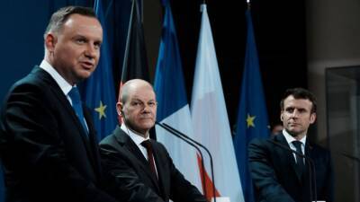 Франция, ФРГ и Польша призвали РФ к деэскалации у границ Украины
