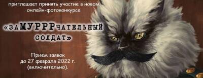 В Красногорске филиал Музея Победы принимает участие во всероссийском фотоконкурсе ко Дню кошек