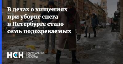 В делах о хищениях при уборке снега в Петербурге стало семь подозреваемых