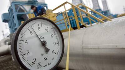 В ГД назвали поиском крайних требование ЕС к России об увеличении поставок газа