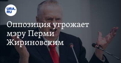 Оппозиция угрожает мэру Перми Жириновским