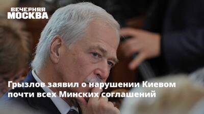 Грызлов заявил о нарушении Киевом почти всех Минских соглашений