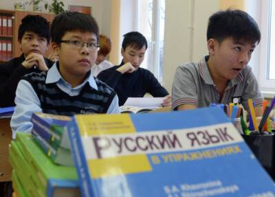 Федерация мигрантов выступила за квоты для детей иностранцев в российских школах