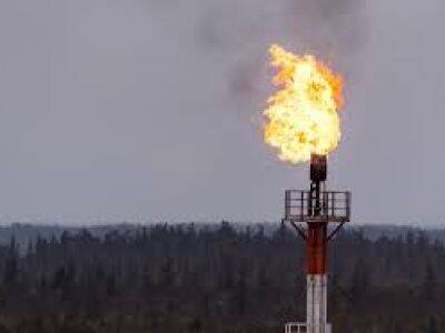 Япония заявила о готовности поставлять сжиженный газ Европе случае кризиса вокруг Украины