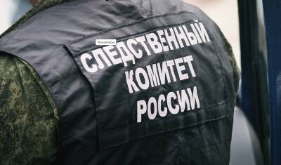 СК не видит нарушений в словах рязанского депутата о расстрелах за поддельные QR-коды