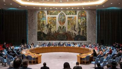 В ГД раскритиковали слова постпреда Украины о членстве России в Совбезе ООН