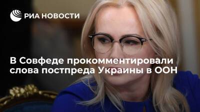 Сенатор назвала слова постпреда Украины в ООН о членстве России в Совбезе "пустыми"