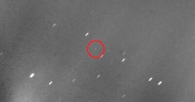 Скоро врежется в Луну: астроном показал ракету Илона Маска в последний раз (фото, видео)