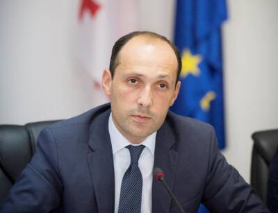 Назначен новый министр экономики и устойчивого развития Грузии