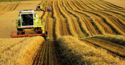 Так ли хорошо быть житницей Европы? Почему сельское хозяйство не сделает Украину богатой