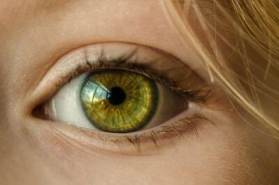 Сотрудники МГУ разработали математическую модель человеческого глаза