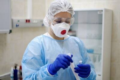 Кубань обновила рекорд суточно заболеваемости коронавирусом — 3 000 новых пациентов
