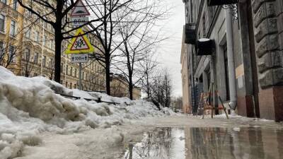 Уборка, транспорт, нежелание работать с инвесторами: Корупятник назвал три «больных места» Петербурга