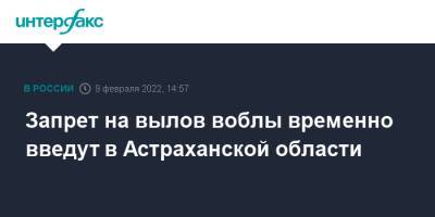 Запрет на вылов воблы временно введут в Астраханской области