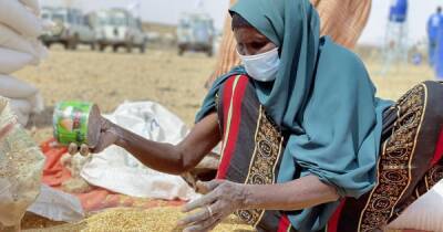 В Африке из-за засухи голодают 13 млн людей - ООН (фото)