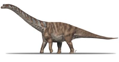 Перешли море. В Испании нашли останки титанозавров, пришедших из Африки 70 млн лет назад