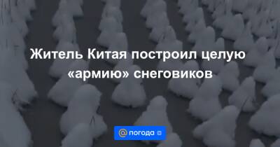 Екатерина Гура - Житель Китая построил целую «армию» снеговиков - news.mail.ru - Китай - Чунцин