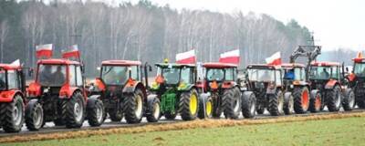 Польские фермеры начали общенациональную забастовку, перекрыв дороги в 50 населенных пунктах