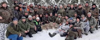 В Шарьинском районе охотники ликвидировали волчью стаю