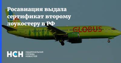 Александр Нерадько - Росавиация выдала сертификат второму лоукостеру в РФ - nsn.fm - Россия - Казань - Омск