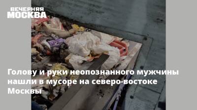 Голову и руки неопознанного мужчины нашли в мусоре на северо-востоке Москвы - vm.ru - Москва - Россия - Юлия Иванова - Москва - Следственный Комитет