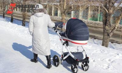 Следователи проводят проверку после падения глыбы льда на детскую коляску в Луге
