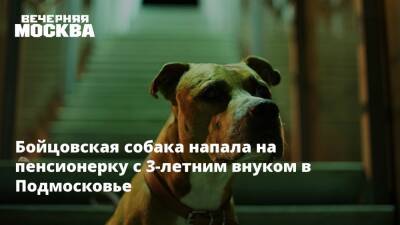 Бойцовская собака напала на пенсионерку с 3-летним внуком в Подмосковье