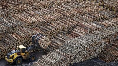"И батарейки у них деревянные": в Швеции делают аккумуляторы из древесины