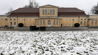 В Дворцовом саду Нойштрелица изнасиловали 11-летнюю девочку, полиция задержала беженца