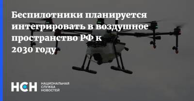 Александр Нерадько - Беспилотники планируется интегрировать в воздушное пространство РФ к 2030 году - nsn.fm - Россия