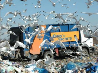 Украина стала мировым рекордсменом по количеству мусорных свалок