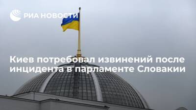 Киев потребовал извинений после инцидента с украинским флагом в парламенте Словакии