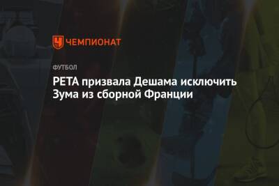 PETA призвала Дешама исключить Зума из сборной Франции