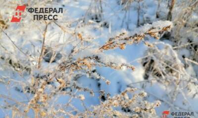Озвучен прогноз погоды на 10 февраля в Южно-Сахалинске